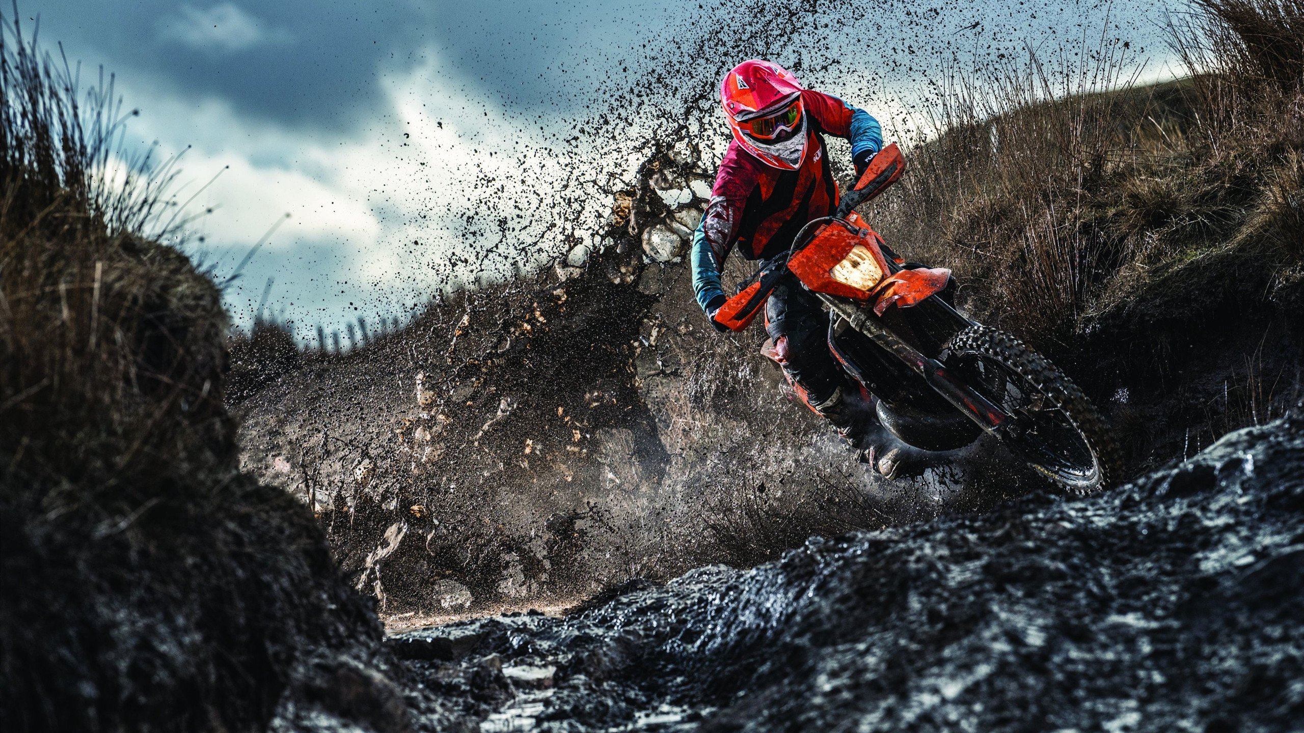 塔图姆关键战不手软，雄鹿节奏掌控公牛，东部双雄的制胜之道